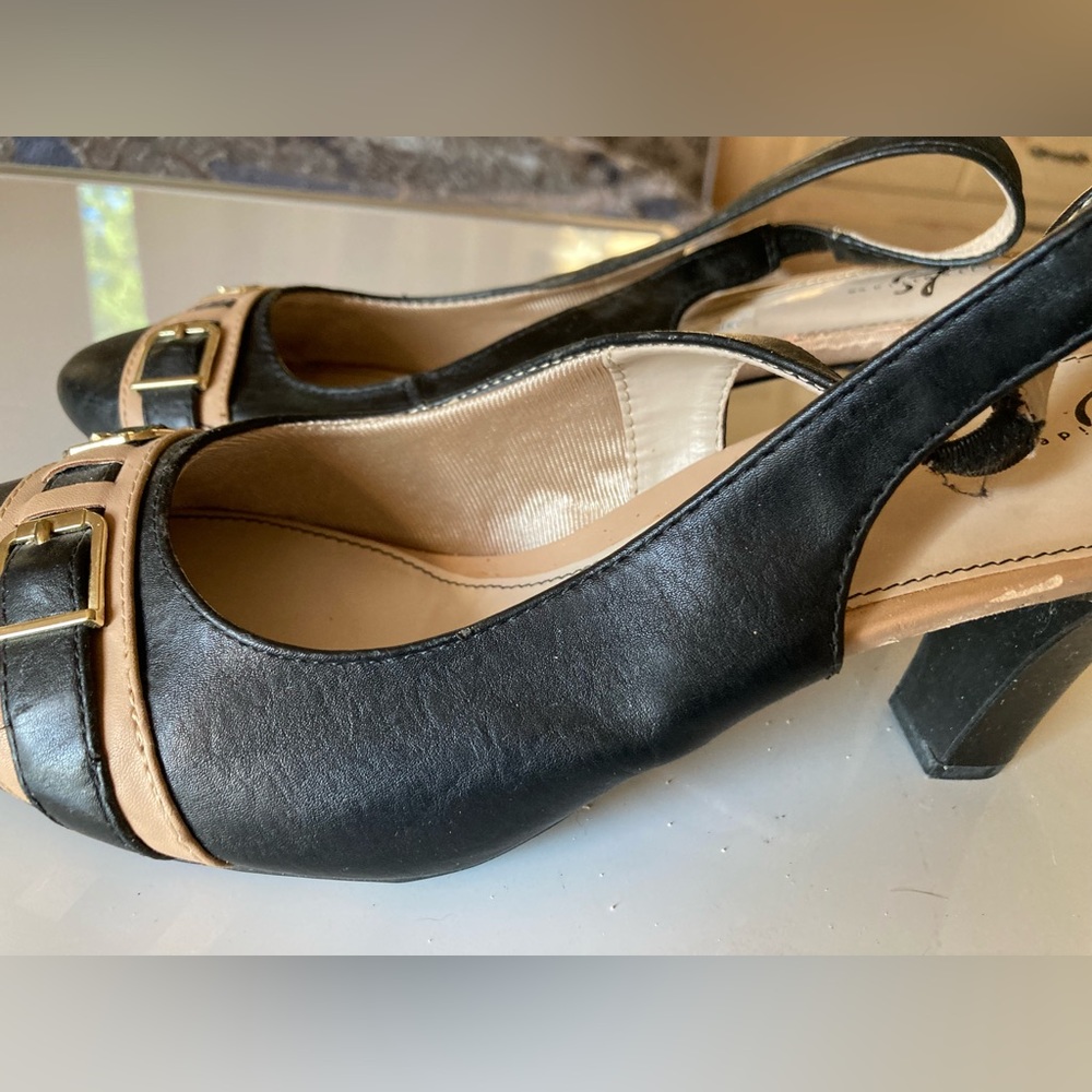 Black and tan sling back heels.